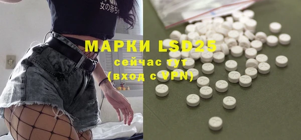 эйфоретик Аркадак