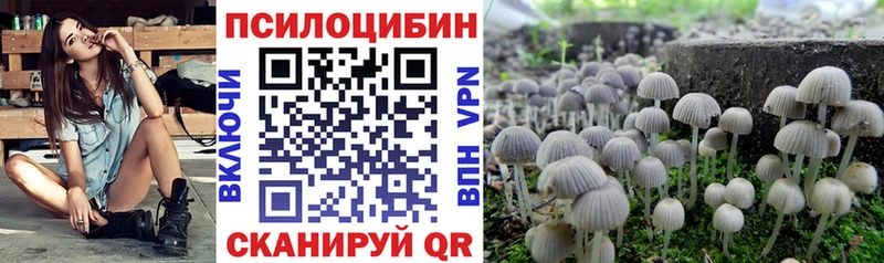 Галлюциногенные грибы Magic Shrooms  мега зеркало  Светлогорск 